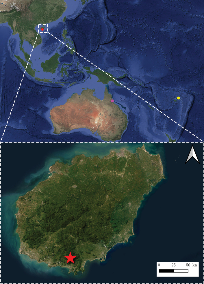 Figure 5