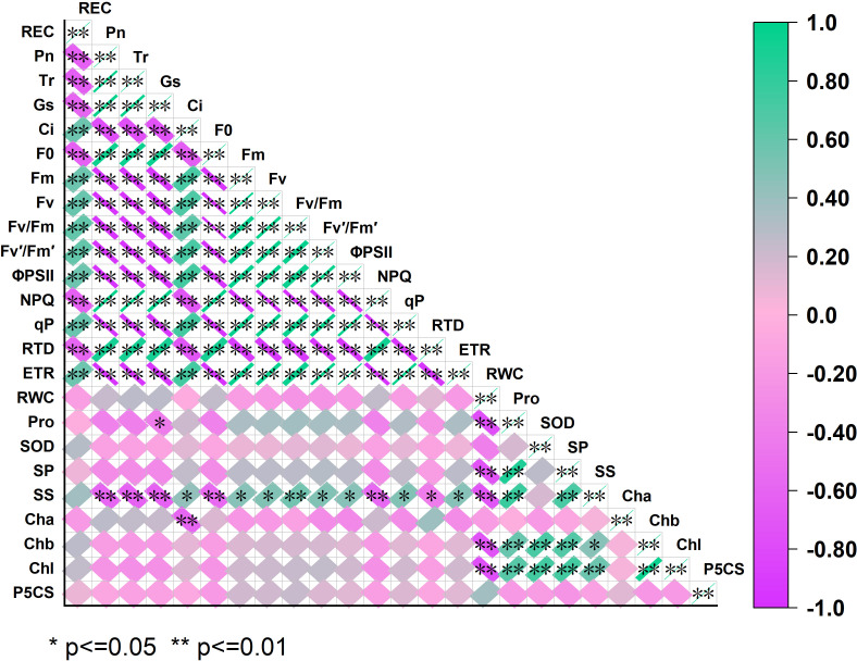 Figure 7