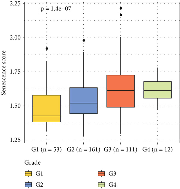 Figure 21