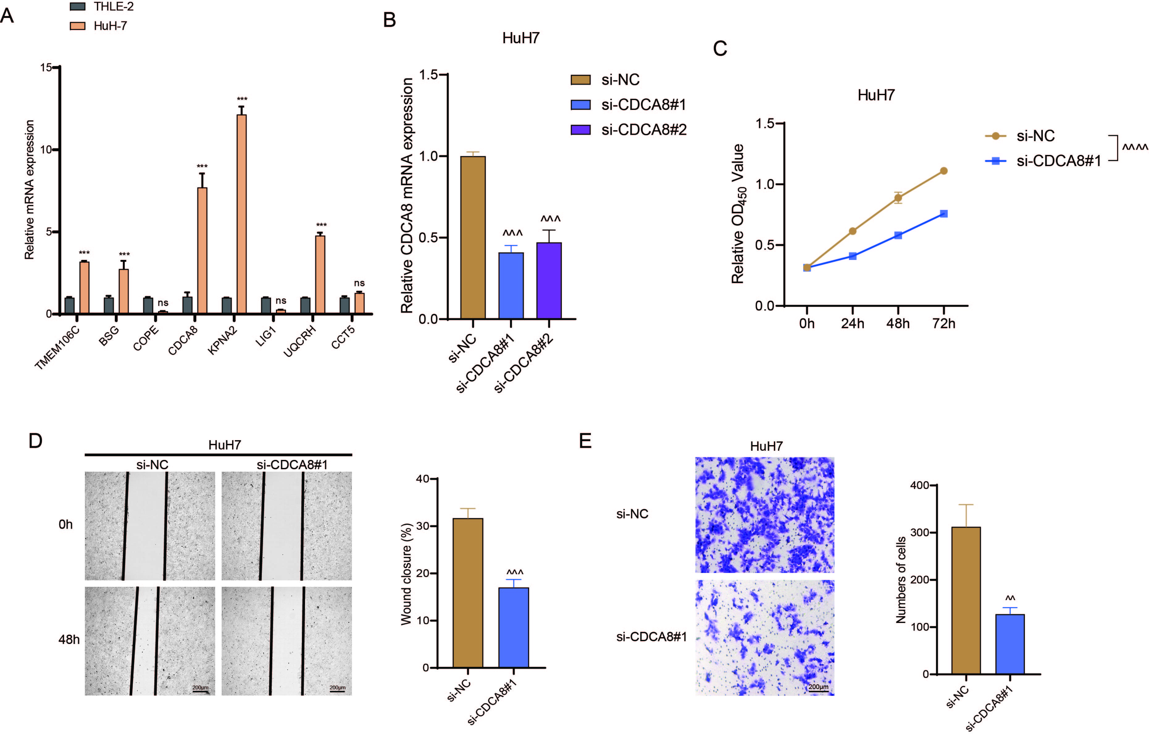 Figure 36