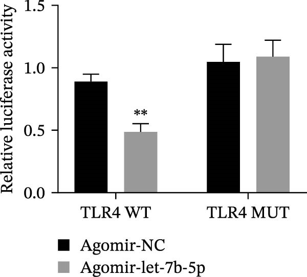 Figure 25