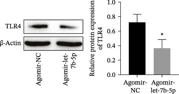 Figure 27
