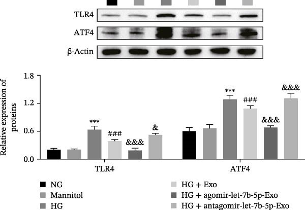 Figure 29
