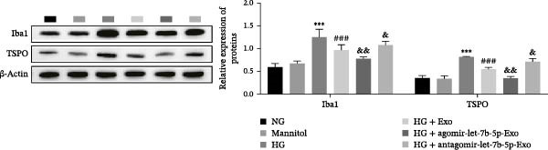 Figure 30