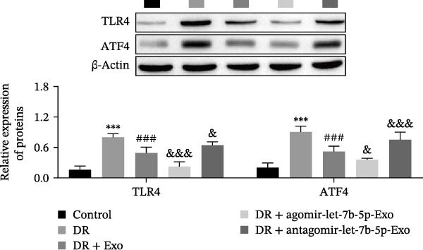 Figure 37