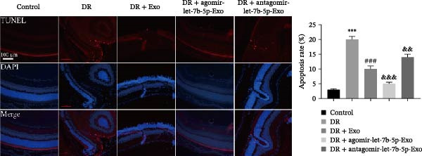 Figure 39