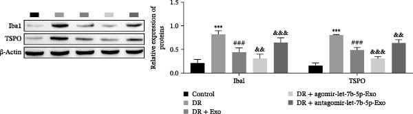 Figure 40
