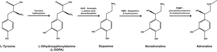Figure 2