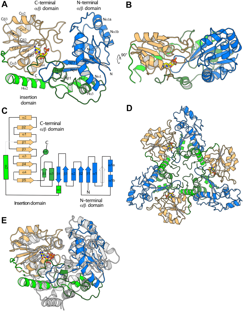 Figure 4