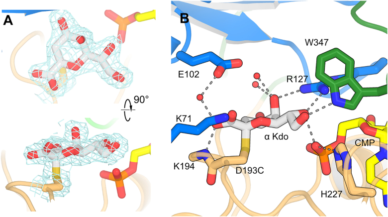 Figure 6