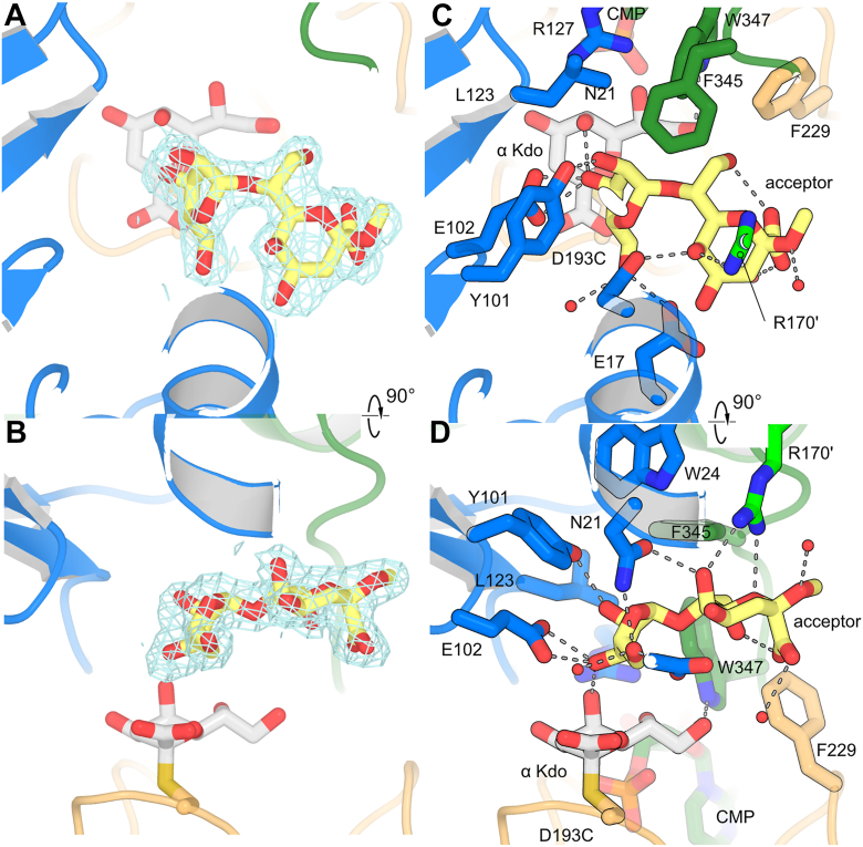 Figure 7