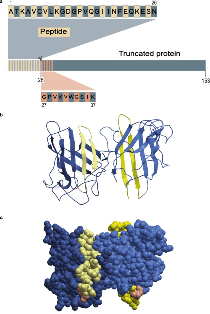 FIGURE 2
