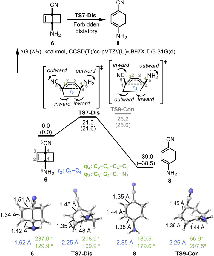 Fig. 5