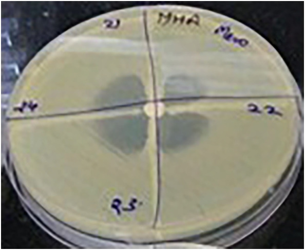 Figure 1