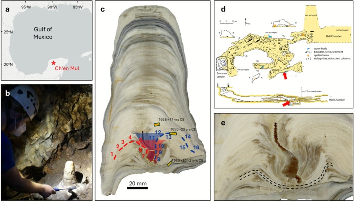 FIGURE 1