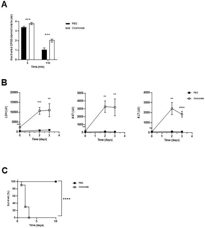 Figure 1