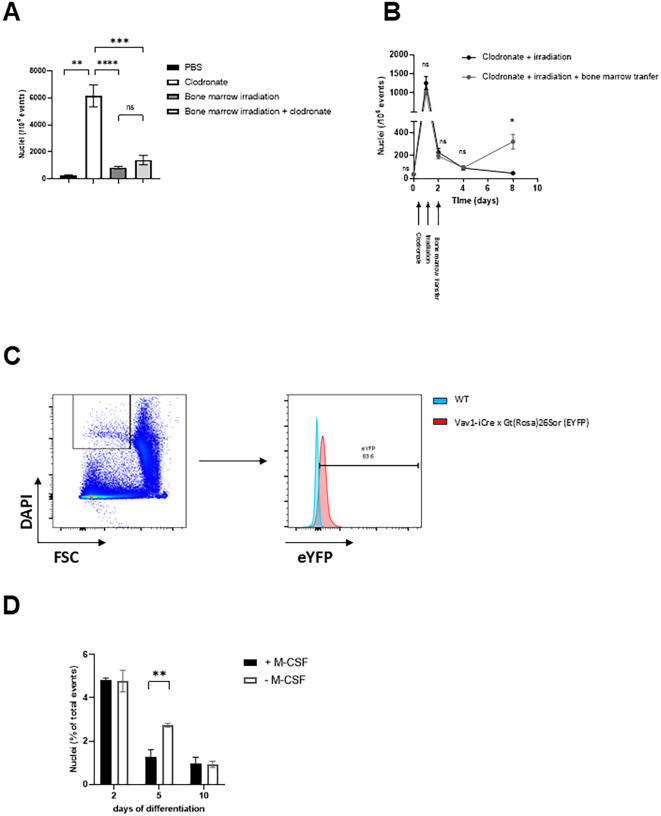 Figure 4