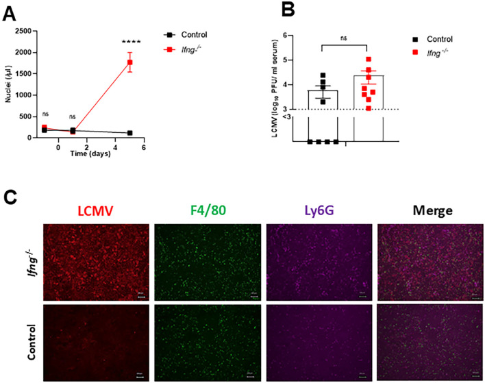 Figure 6