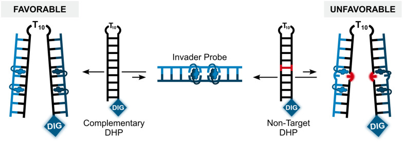 Fig. 18