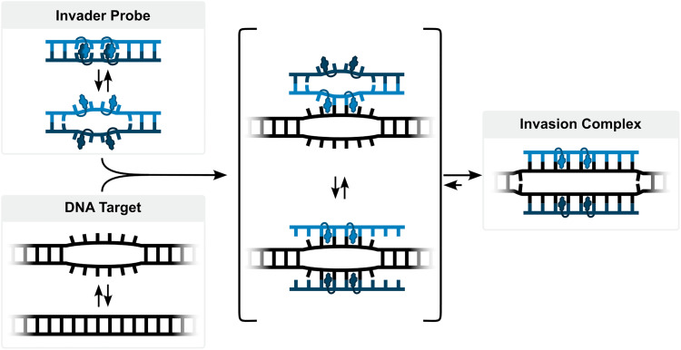 Fig. 19