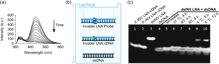 Fig. 9