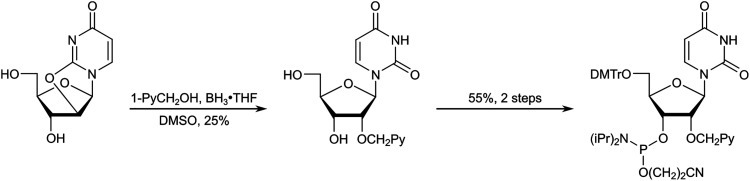 Scheme 4