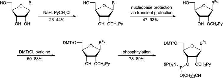 Scheme 5