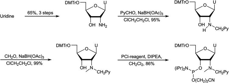 Scheme 7
