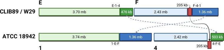 Figure 10