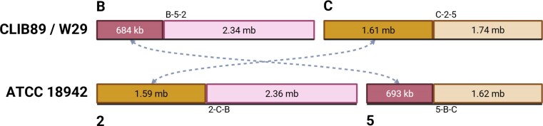 Figure 9