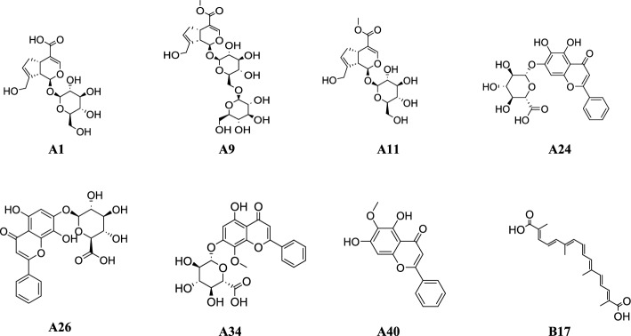 Figure 11