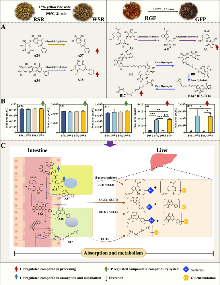 Figure 12