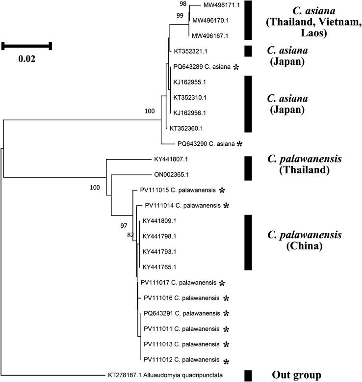Figure 7