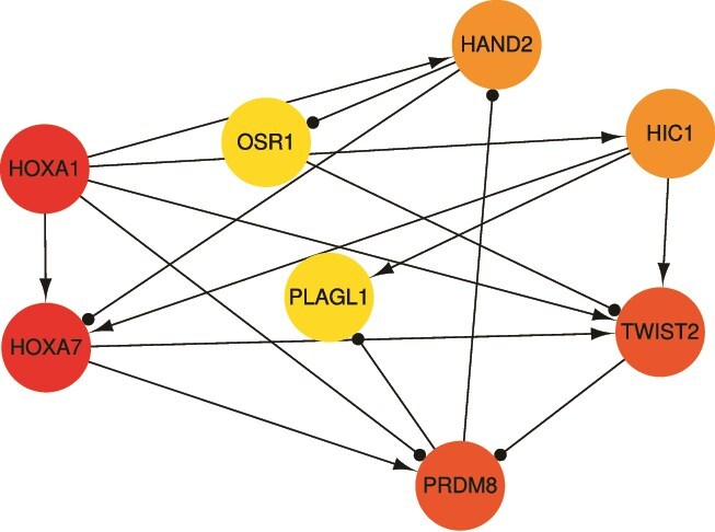 Figure 5