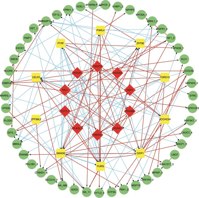 Figure 6