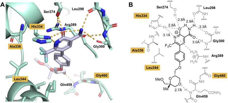 Fig 1