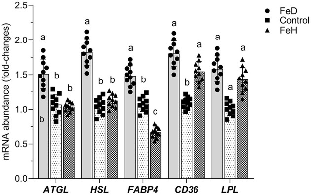 Figure 6