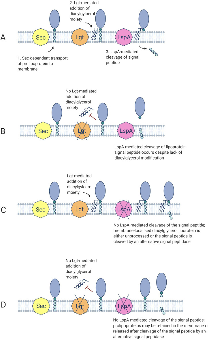 Fig 6