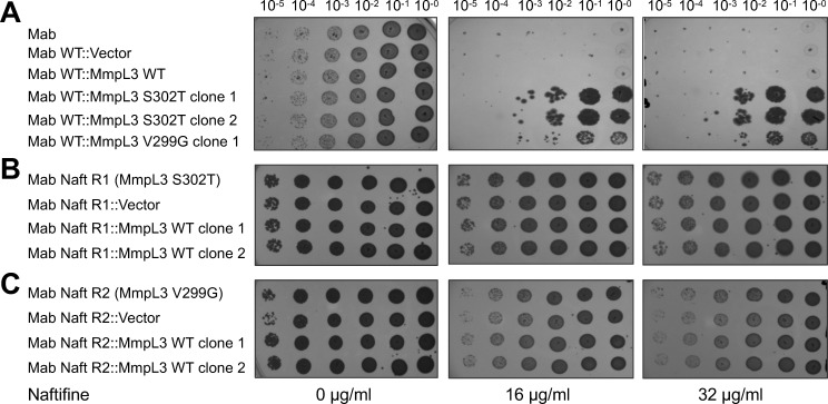 Fig 6
