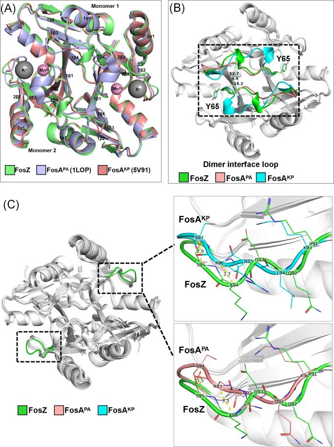Fig 5
