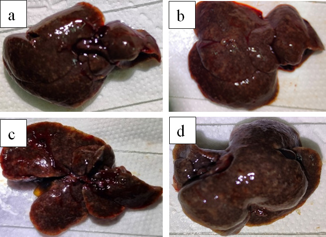 Fig 8