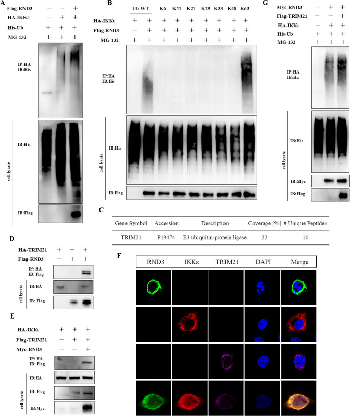 Fig 8