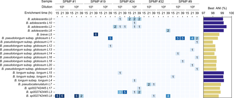 Fig 6