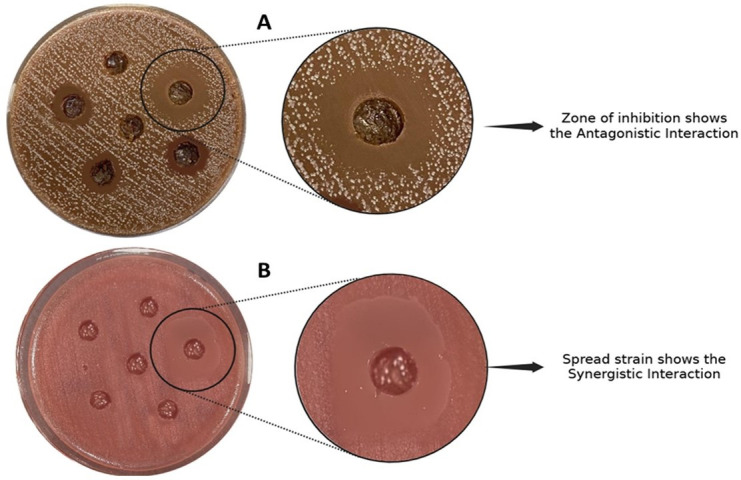 Fig 5