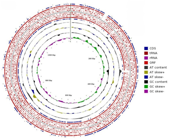 Fig 8