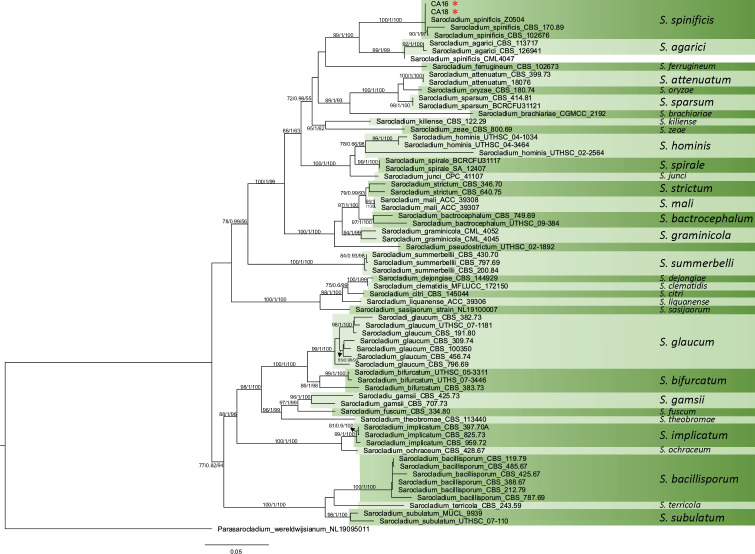 Fig 3