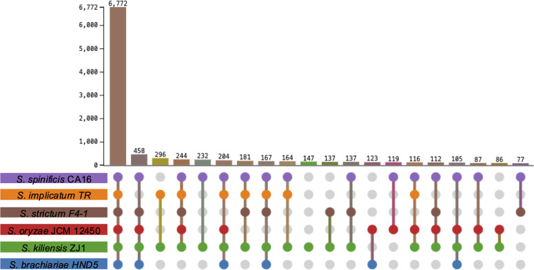 Fig 6