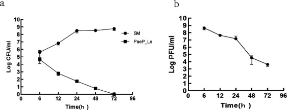 Fig 6