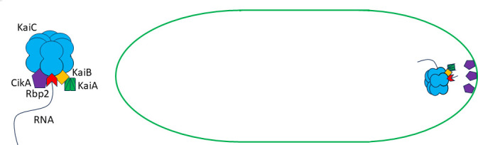 Fig 5