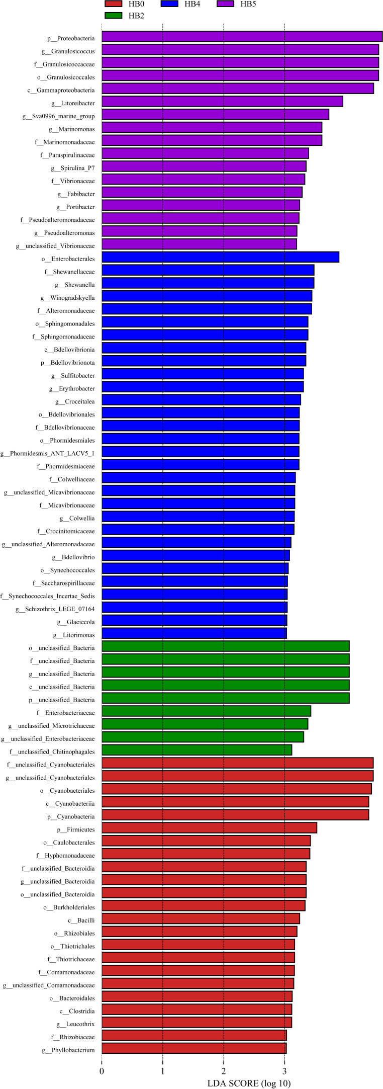 Fig 5